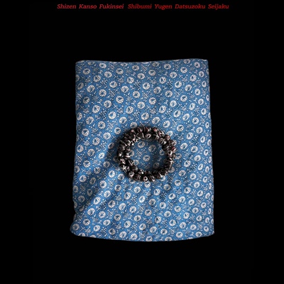 WEIQIN蓝莲花夹棉外套