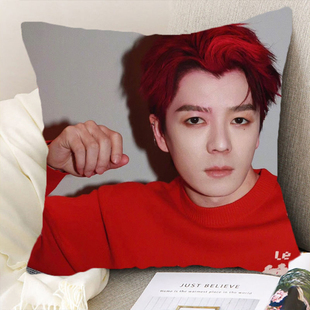 王栎鑫抱枕0713再就业男团周边靠垫枕头快乐男声粉丝应援礼物定制