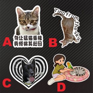 个性反光防水DIY 家有小猫小狗小宠物毛孩子 改名字外形 汽车贴纸