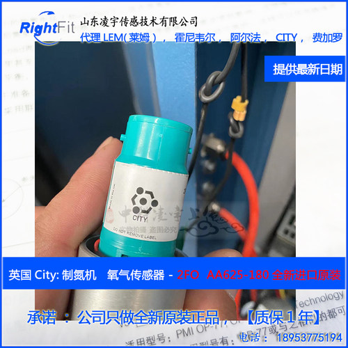 O2传感器氧电池烟气排放检测