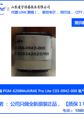 SO2 可燃华瑞PGM-6208复合式气体检测仪C03-0942-000氧气传感器