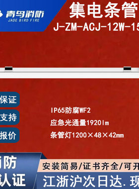 正品北大青鸟J-ZM-ACJ-12W-151XG青鸟消防条管灯IP65防水应急灯具