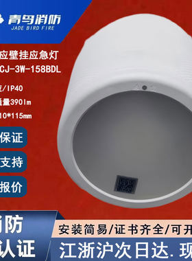 雷达感应青鸟消防应急灯吸顶嵌入