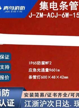 正品北大青鸟J-ZM-ACJ-6W-151XG条管灯青鸟消防IP65防腐WF2应急灯