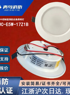 正品北大青鸟J-ZFJC-E5W-17Z1B 老款青鸟消防应急灯具5瓦青鸟筒灯