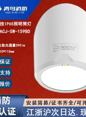 IP65防水正品北大青鸟J-ZM-ACJ-5W-159BD筒灯 青鸟消防应急照明灯