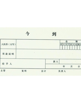 10本包邮 今( )到 条 可做付款单收款单借款单借收单通用证明凭证