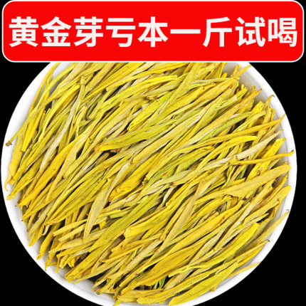 【黄金芽雨前一级】2026新茶叶正宗高山绿茶高档礼盒送礼浓香耐泡