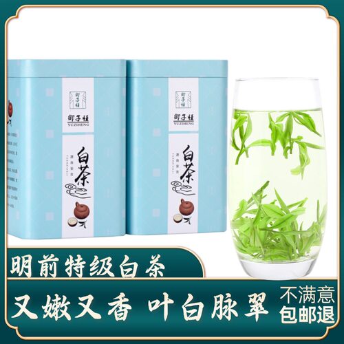 御子恒安吉珍稀白茶明前嫩芽