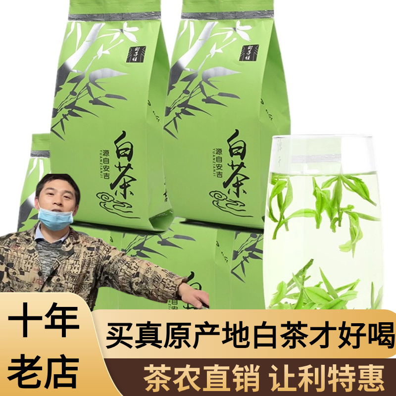 正宗安吉特产白茶2024新茶上市雨前特一级绿茶250g散装春茶御子恒 茶 安吉白茶 原图主图