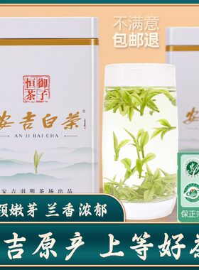 御子恒安吉白茶新茶上市