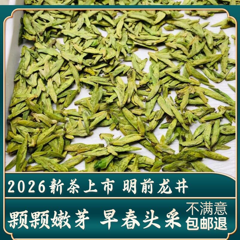 2026新茶早春龙井明前嫩芽图片