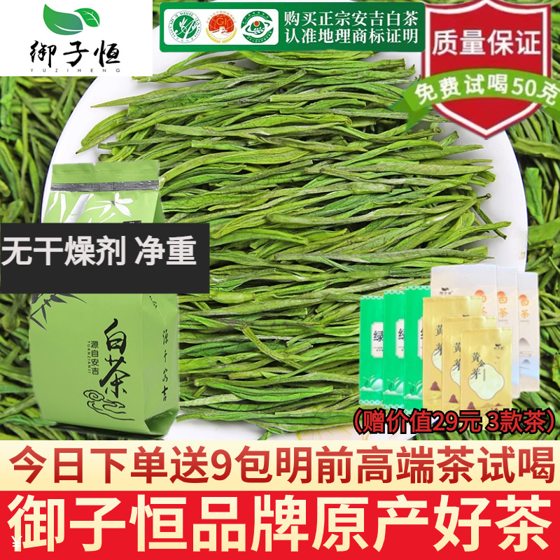 正宗安吉特产白茶2023新茶上市雨前特一级绿茶250g散装春茶御子恒