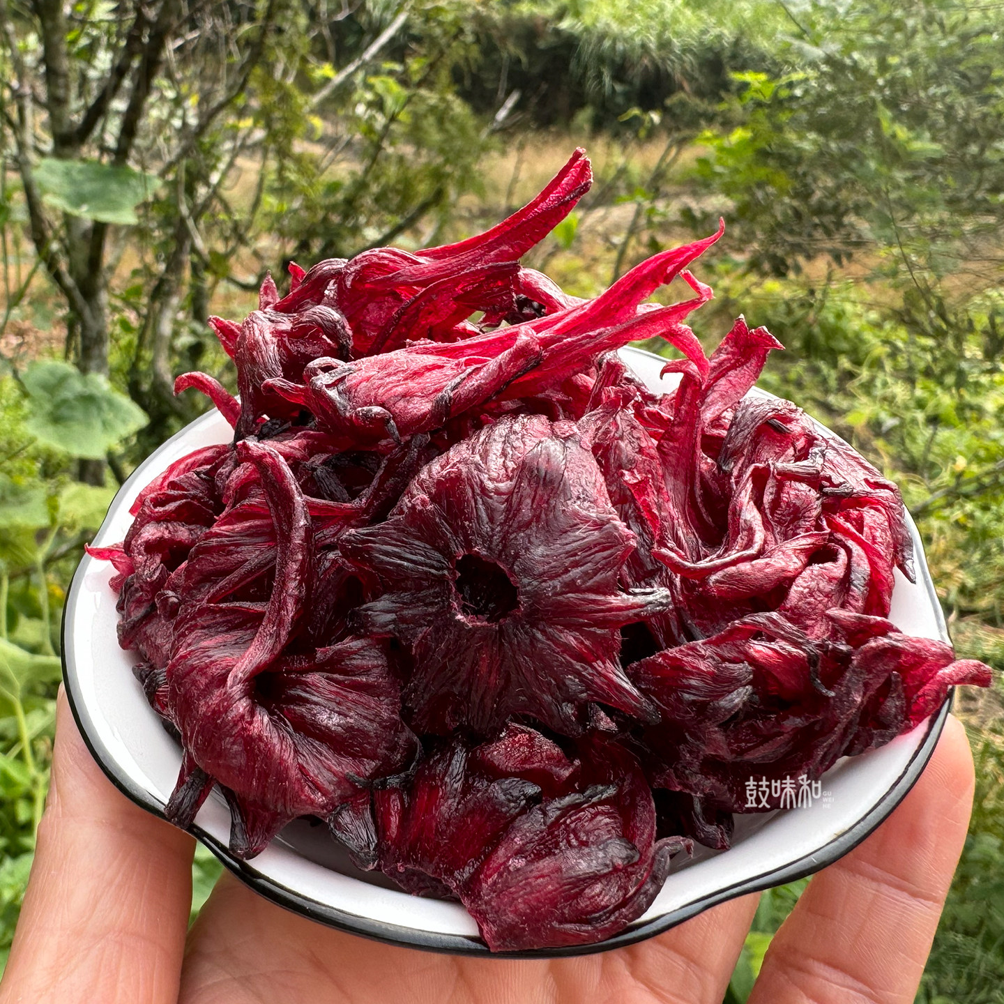 江西铜鼓手作洛神花果脯酸甜开胃红桃K零食少糖玫瑰茄干蜜饯小吃