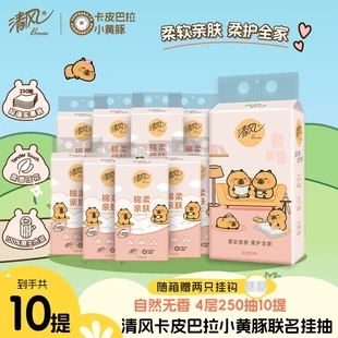 清風(fēng)掛抽卡皮巴拉抽紙懸掛式 手紙4層250抽提BG25SMEC 紙巾家用掛式