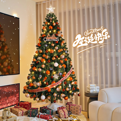 家用加密圣诞树客厅摆件套装发光2025新款高级感仿真圣诞节装饰品