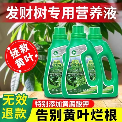 发财树专用有机营养液防黄烂根