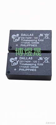 DS1742W-120 -150/ IND + 低功率时钟模块芯片 全新原装 DIP-24脚