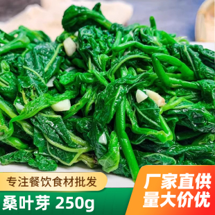 新鲜桑叶苗桑叶芽上汤桑叶菜新鲜食用嫩桑叶尖半成品特色冷冻商用