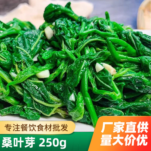 桑叶新鲜苗芽上半成品特色冷冻