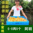 8两8个晚熟湖景蜜露大桃子水果新鲜 阿明 正宗无锡阳山水蜜桃5