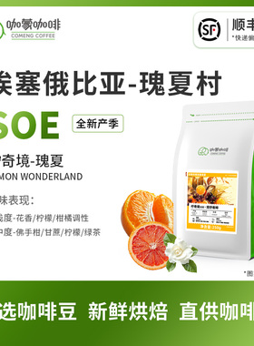 意式SOE柠奇境 埃塞俄比亚瑰夏村精品咖啡豆新鲜烘焙可现磨250G
