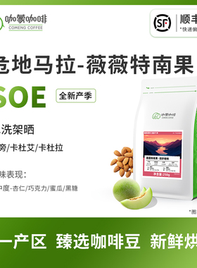 意式SOE薇薇特南果 危地马拉水洗架晒精品咖啡豆新鲜烘焙现磨250G