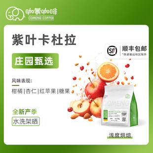 咖蒙咖啡手冲精品紫叶卡杜拉咖啡豆云南新鲜烘焙可现磨咖啡粉250g