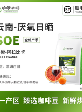 意式SOE甜橙 云南庄园慢速干燥日晒精品咖啡豆新鲜烘焙可现磨250G