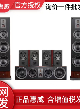 Swan惠威RM800HT家庭影院5.1音响客厅环绕电视中置音箱环绕低音炮