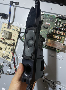 索尼 52Z5599 喇叭音箱一对