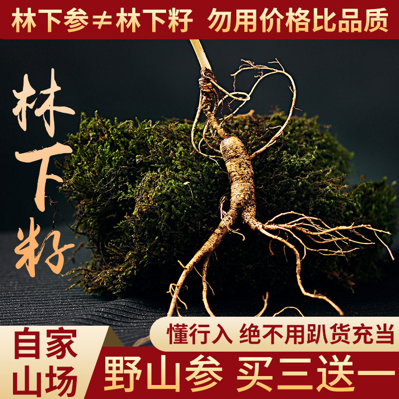 长白山新鲜林下参带土鲜野山参吉林人参生晒人参20年野山参礼盒