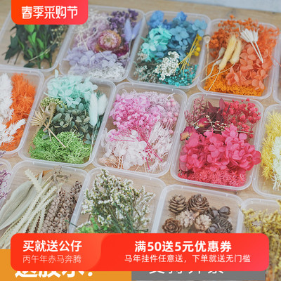 大自然手工课送胶水哦