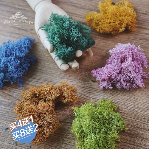 精品无杂质苔藓永生干花植物diy