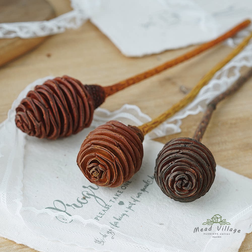 陀螺果进口干花干果文艺自然风桌面瓶插室内软装饰diy花材