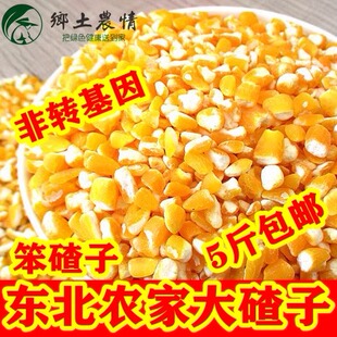 2025新米东北黑龙江苞米碴子玉米火碴子笨大碴粥五谷杂粮粗粮包邮