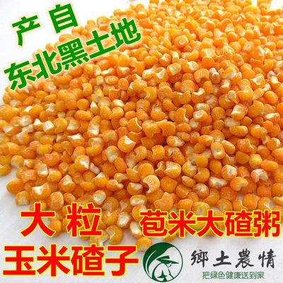 新磨米东北黑龙江大粒苞米碴子整粒玉米笨大碴子火碴子五谷杂粮