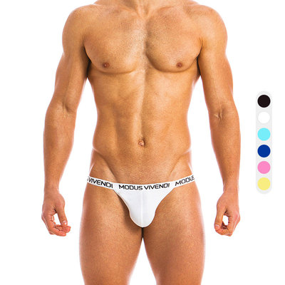 ModusVivendi三角内裤