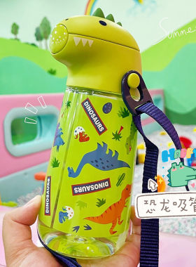 日本儿童恐龙水杯吸管杯幼儿园夏