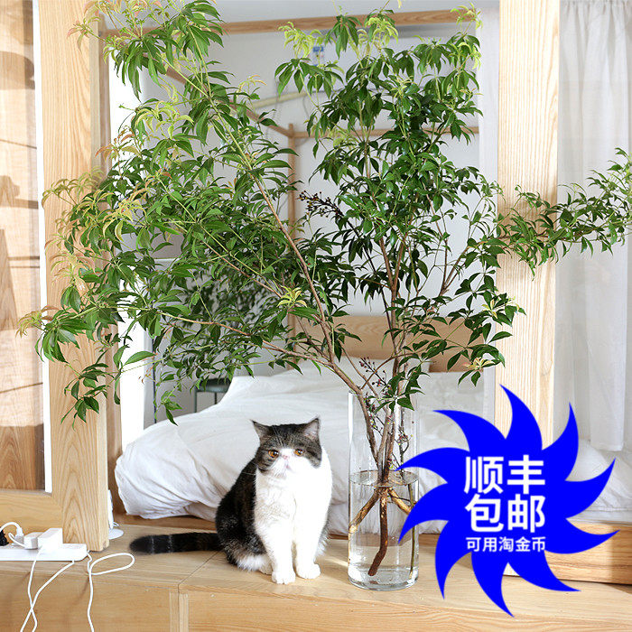 网友分享在meiguo.com的图片