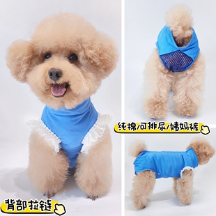 比熊泰旺狗狗纯棉薄款防骚扰姨妈裤月经期避孕生理裤蕾丝花边背扣