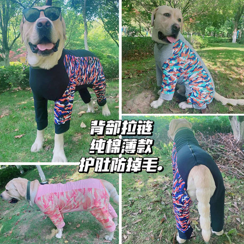 护肚子拼接全包裹防掉毛中大型犬
