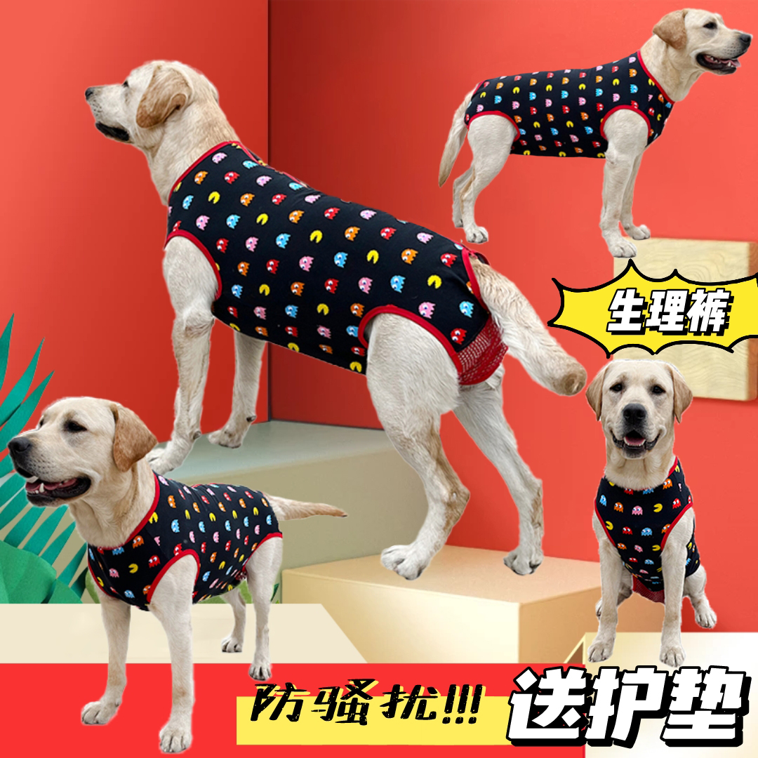 中大型犬狗狗拉拉金毛犬姨妈裤月经期防骚扰避孕连体生理裤可排便