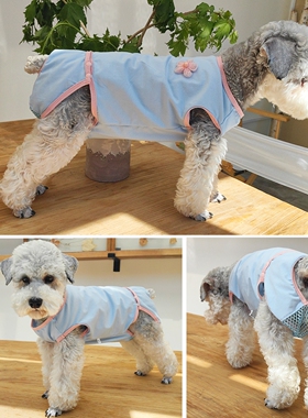 泰迪比熊犬狗狗套头母狗生理裤姨妈裤纯棉薄款月经期防骚扰衣服