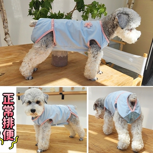 泰迪比熊犬狗狗套头母狗生理裤姨妈裤纯棉薄款月经期防骚扰衣服