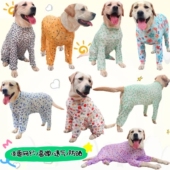 泰旺大型犬透气网纱面料狗狗降温防晒防尘绝育防舔包肚四脚衣超薄