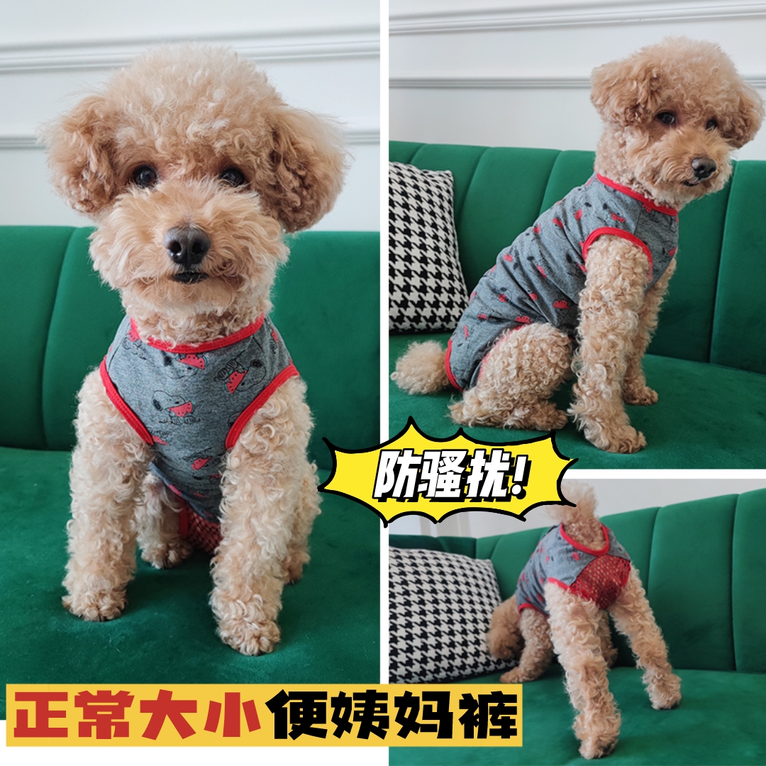 泰旺狗狗姨妈生理裤防骚扰避孕