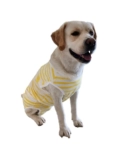 Большой собачий жилет Labrador Big Dog Bag Стерилизация живота, стерилизация, борьба, против лика, все обернутая хлопковая одежда