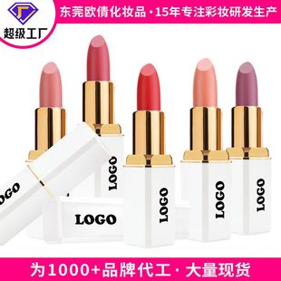不防水口红很哑个护lipstick美妆掉色口红跨境面好粘杯不光雾