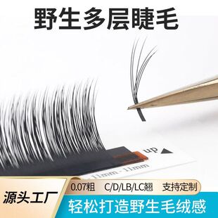 接睫毛新款多层次野生山茶花漫画5D凌乱BC美睫店嫁专用蓬松感睫毛